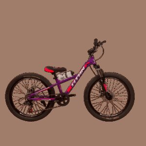 Велосипед Titan CALYPSO 24" 11" Фіолетовий купити